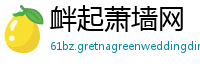 衅起萧墙网